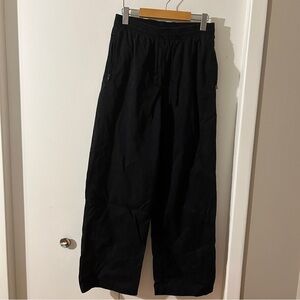 Aritzia Peninsula Pant in Small